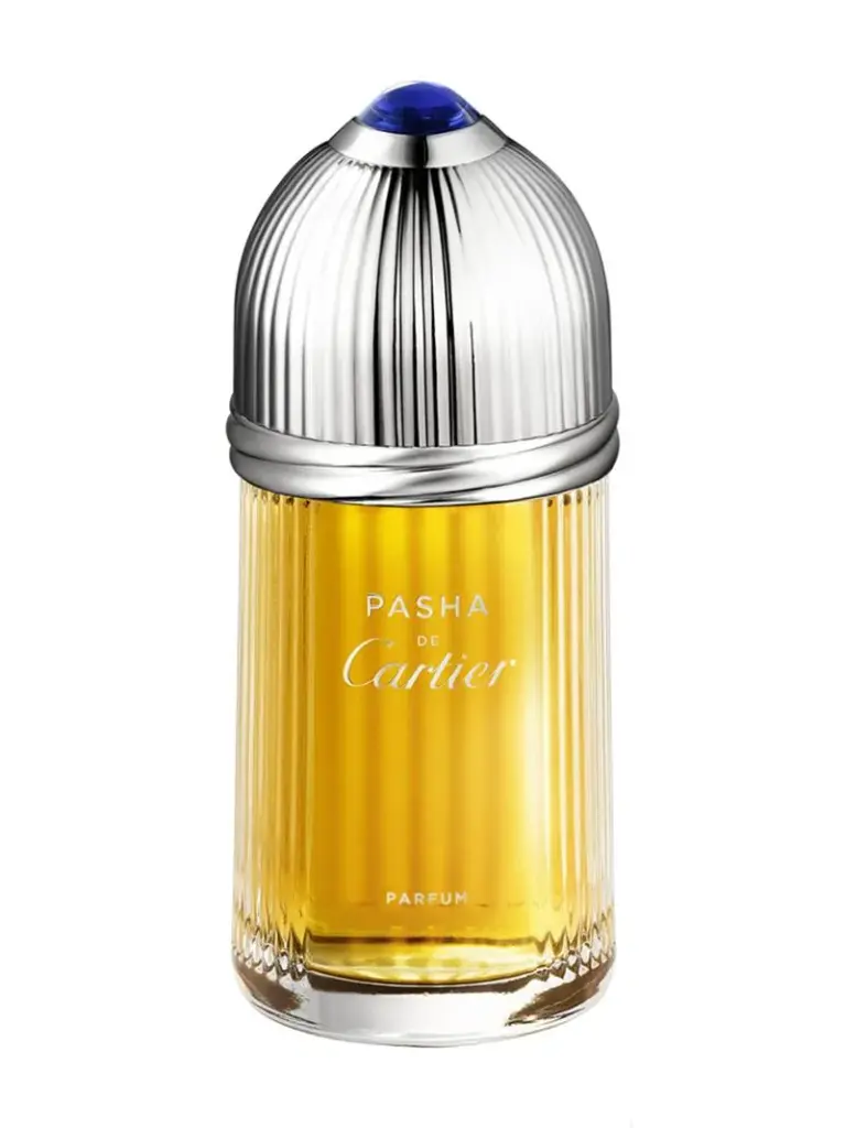 Cartier Pasha de Cartier EDT 100ML
