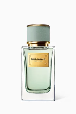Dolce & Gabbana Velvet Infusion EDP 100ML