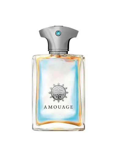 Amouage Portrayal Man EDP 100ML